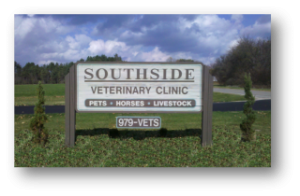 Southside store veterinary clinic